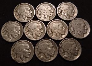 10 verschiedene Büffelnickel 1/4 Rolle 1916 1918 etc Horn Datum Indianerkopf Münzen - Bild 1 von 2