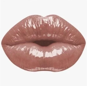 NUEVO EN CAJA KARITY ALTO BRILLO BRILLO LABIAL LÍQUIDO LÁPIZ LABIAL TONO *CAMBIO DE JUEGO* DXD - Imagen 1 de 10