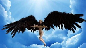 LUCIFER LXF1701 Wings Of Fallen 1/6 Scale Female Black Angel Raven Dark Wings - Picture 1 of 14