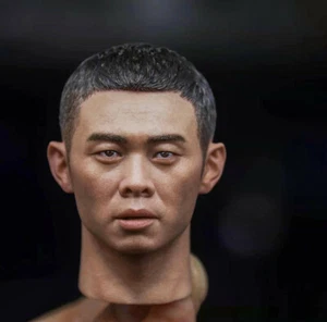 Cabeza masculina tallada cabeza de soldado de China 1/6 esculpida para figura de 12" cuerpo modelo juguete - Imagen 1 de 4
