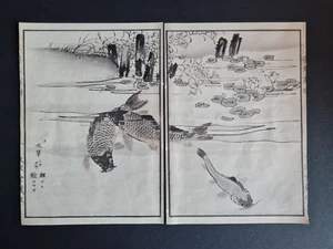 Antique c.1890 Japanese woodblock print - Koi Carp - Fish - Kikuchi Hobun - Picture 1 of 4
