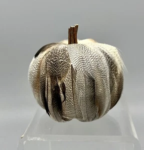 Mini Federkürbis 3,25" weiß braun grau - Bild 1 von 4