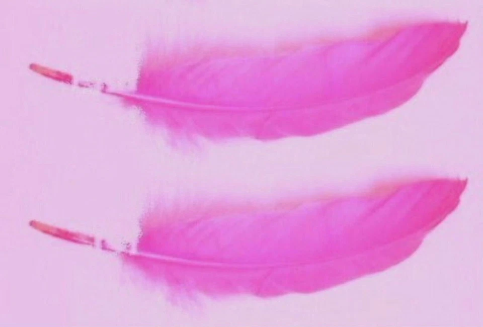 Goose Satinettes 25 Feathers 6-8" Choose Color or MIX feather Quills - Image 1 of 1