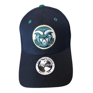 Vintage Colorado State Rams Fitted Hat Cap 90s Black Green Retro CO NCAA  - Bild 1 von 9