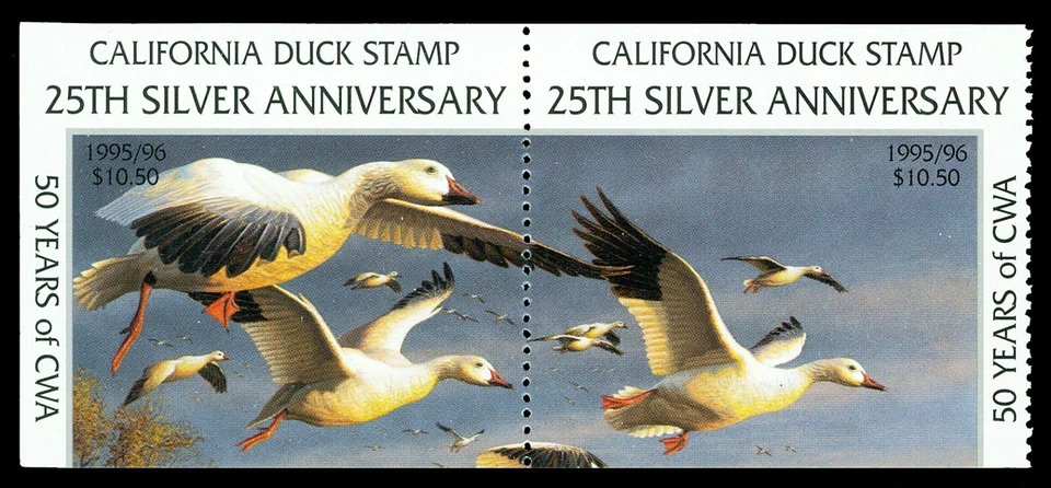 Scott CA26 1995 $10.50 California Duck Stamp Mint VF OG NH Cat $40 - Image 1 of 1