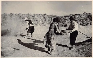 CYPRUS - Winnowing - REAL PHOTO - Publ. Mangoian Bros. - Picture 1 of 2