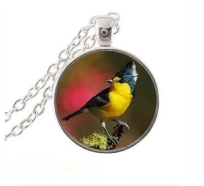 PÁJARO PINZÓN AMARILLO Colgante Plata de Ley 20" Collar Mujer Mamá REGALO  Foto 1 de 4