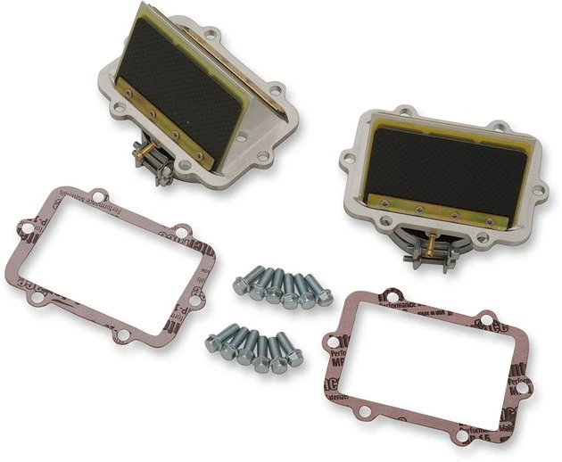 Boyesen Rage Cage Reed System Arctic Cat HO 800 2010-2012 Foto 1 de 1