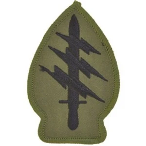 MILITARY PATCH-SPECIAL FORCES (SUBDUED) (3") - PM0078 - Picture 1 of 1