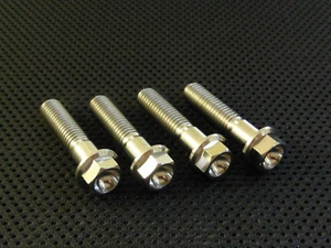 Suzuki GSXR750 Titanium Front Axle Pinch Bolts 00-03 Ti Hex Flange - Picture 1 of 3