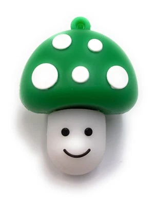 Tue-Mouche en Vert Clé USB 8GB 16GB 32GB 64GB 2.0/3.0 - Photo 1/2