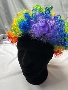 Rainbow Clown Wig Curly Multicolor Costume Party Wig – One Size Fits Most - Picture 1 of 3
