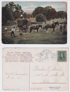 TurtlesTradingPost- Haleyville, New Jersey 1906- Farming Postcard- Horses - Picture 1 of 3