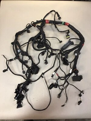 Arnés de cableado principal Ducati Hypermotard 939 17-18 telar tapones relés #0116 Foto 1 de 4