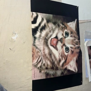 1984  Vintage Cat Tiger kitten 17 x 11 Poster  Scholastic Troll Associates #B717 - Picture 1 of 7