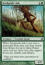 SEEDGUIDE ASH X4 4 4X Lorwyn MTG Magic the Gathering Cards DJMagic