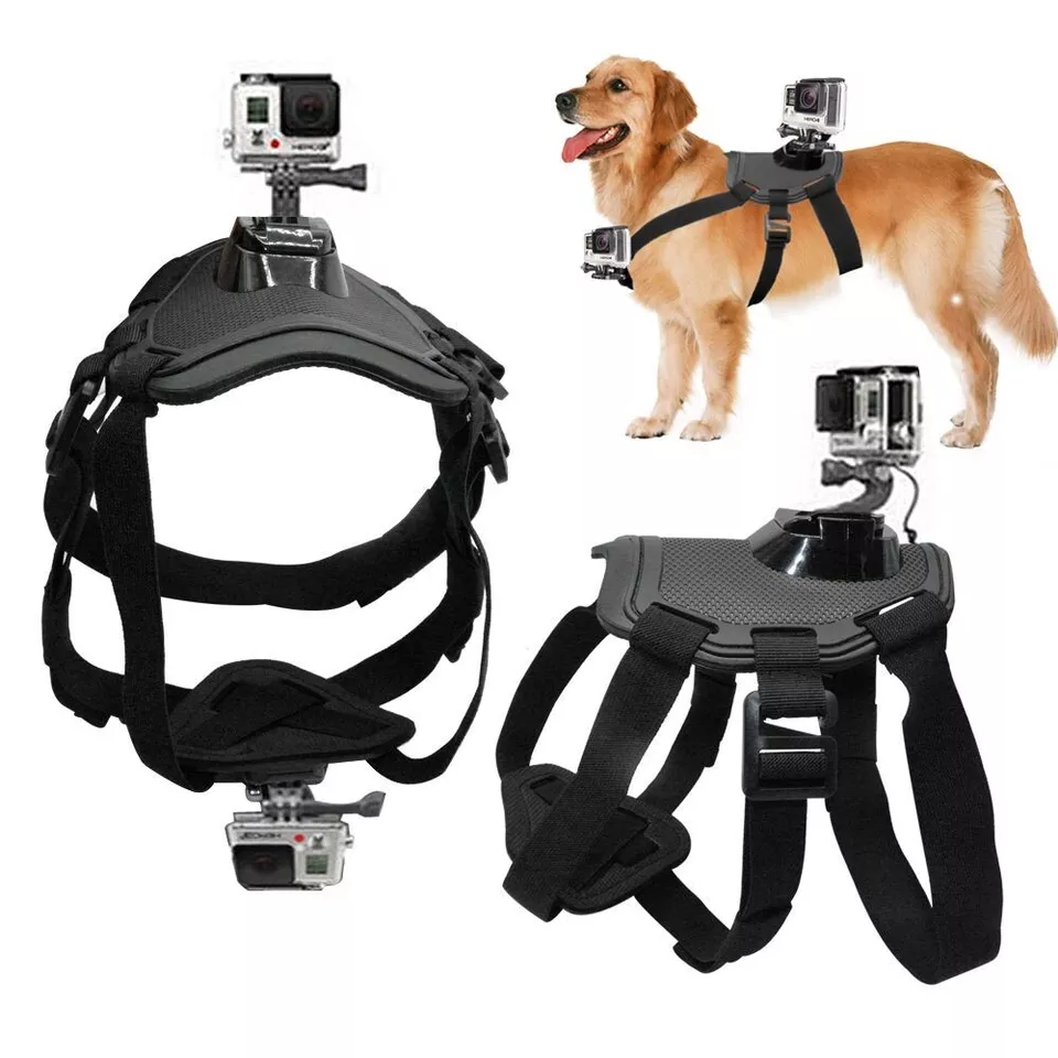 GoPro Fetch Dog Harness Official GoPro Mount - Image 1 of 1