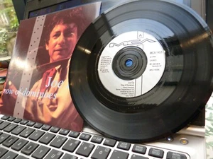 Joe Ely Row of Dominoes/Me and Billy the Kid 7" 45 Mint disc MCA1453 - Bild 1 von 4