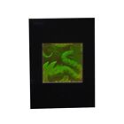 Image hologramme mat serpent, film photopolymère Polaroid de collection