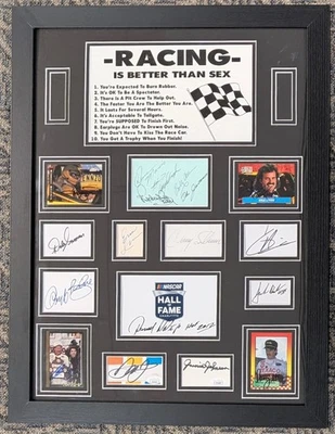 Multi Firmado 20x26 NASCAR Coches Carreras Enmarcado con Richard Petty AUTO JSA Foto 1 de 2