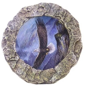 Ein Weißkopfseeadler Thema Nachtlicht 3" Durchmesser helles Licht Wildtier Sammlung - Bild 1 von 1