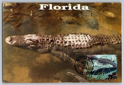 #4099i Southern Florida Wetland American Alligator FDC Maxi Card w/Pict Cancel - Image 1 of 2