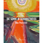 Die Sonne in Schwarzweiß. Max Pechstein. Roman Zieglgänsberger