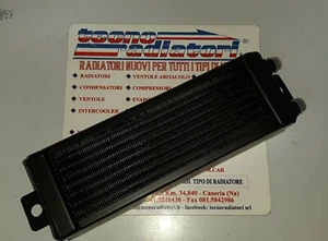Radiatore Olio per LAMBORGHINI (MASSA 4 FILE) - ELEVATA QUALITA' COSTRUTTIVA - Foto 1 di 2