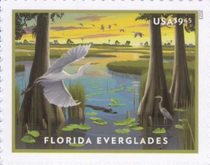 2023 STAMP FLORIDA EVERGLADES STAMP CYPRESS TREE SWAMP ALLIGATOR BIRD LILY PAD - Picture 1 of 1