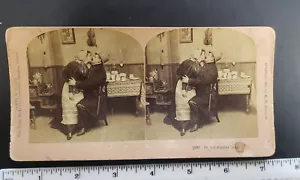 B.W. Kilburn Stereoview #12867 "On his regular beat." - Picture 1 of 7