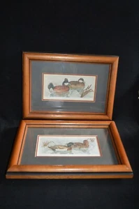 PAIR GRACE FEYOCK SIGNED LTD EDITION watercolor SMALL DUCK PRINTS matted framed - Bild 1 von 6