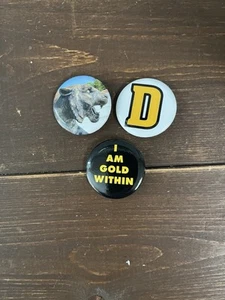 Drei DePauw University Pins - Bild 1 von 1