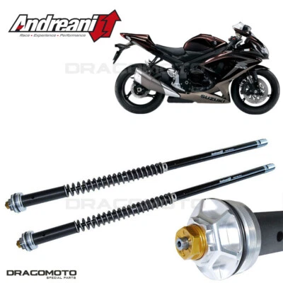 Cartucho SUZUKI GSX-R 750 2008-2010 ANDREANI 105/S34E MISANO EVO Foto 1 de 4