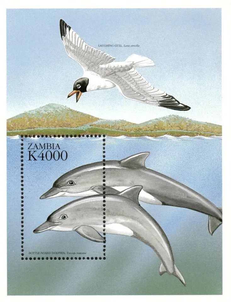 Zambia 1999 - Pájaro marino y delfín - Hoja de recuerdo - Scott 830 - MNH Foto 1 de 1