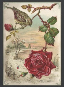 LGE Embossed Lion COFFEE Woolson Spice Advertising Trade Card Lady Walking Scene - Picture 1 of 7