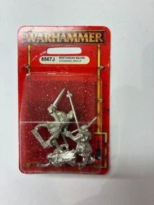 Warhammer fantasy Bretonnian SQUIRE COMMAND GROUP NIP Metal 8567J - Picture 1 of 2