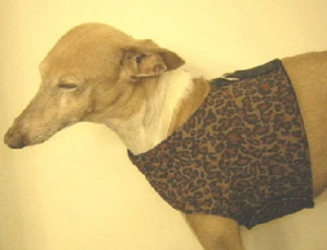 CHALECO ARNÉS LEOPARDO GALGO ITALIANO PERRO SALCHICHA MIN PIN CRESTADO CHINO - Imagen 1 de 2