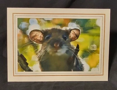 Tarjetas de felicitación para niños, todas las ocasiones, ratones, 6 tarjetas, - Tarjeta de felicitación foto real Foto 1 de 4