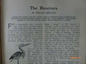 Wild Fowl Decoys Bland & Co Birds Bird Lure Hunting Rare Antique Article 1907 - Bild 1 von 3