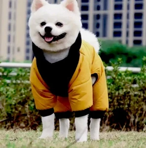 Duomm Yellow & Black Padded Waterproof/Windproof D Ring Harness Dog Coat - Picture 1 of 10
