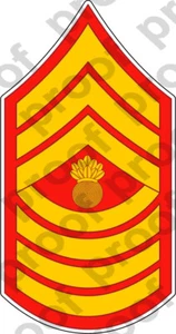 STICKER RANK USMC DB E9 MASTER GUNNERY SERGEANT   ooo   USMC Lisc No 20187 - Picture 1 of 1