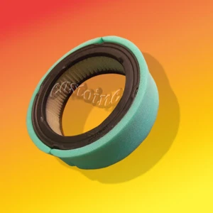 Filtros de aire se adaptan a los modelos Briggs & Stratton: 290400, 290700, 294400, 294700, 30340 - Imagen 1 de 2