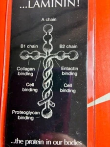 LAMININ CROSS Bookmark God's Design Colossians 1:17 Christian Bible - Picture 1 of 11