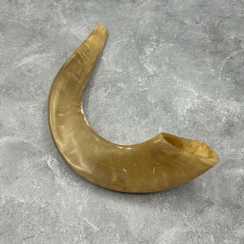 Davida Yehuda Hand Painted Anointing Oil Ram Horn Polished Shofar - Image 1 of 4