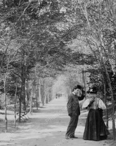 Lovers Lane Central Park New York Vintage 8x10 Reprint Of Old Photo - Bild 1 von 1