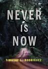 Never Is Now By Timothy L Rodriguez Hardcover Book