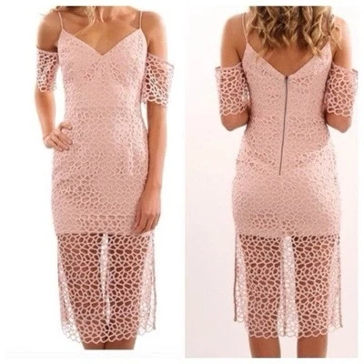 Vestido Lápiz Keepsake Rosa Encaje Midi Nuevo con Etiquetas XS Rubor Ojales Ocasión de Cóctel Foto 1 de 4