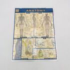 Anatomy Laminated Tri Fold Study Guide Study Aide Quick Study All Major Systems