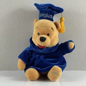 Vintage Disneyland Disney Winnie The Pooh Graduate Year 2001 Mini Bean Bag Plush - Picture 1 of 6
