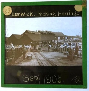 Lerwick  Packing Herring  ( mark to sky )Glass Magic Lantern Slide  T Roberts - Picture 1 of 1